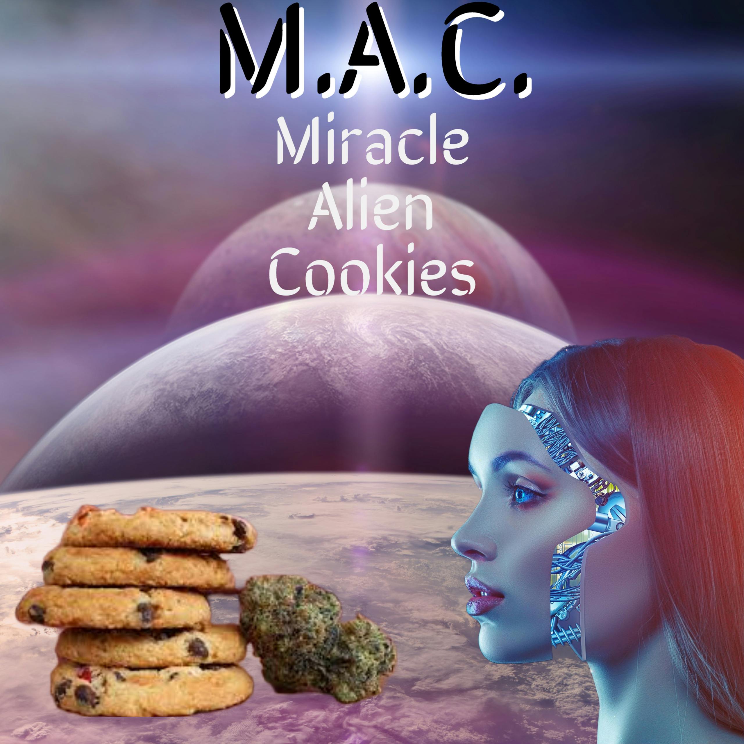 M.A.C. 1g Pre Roll
