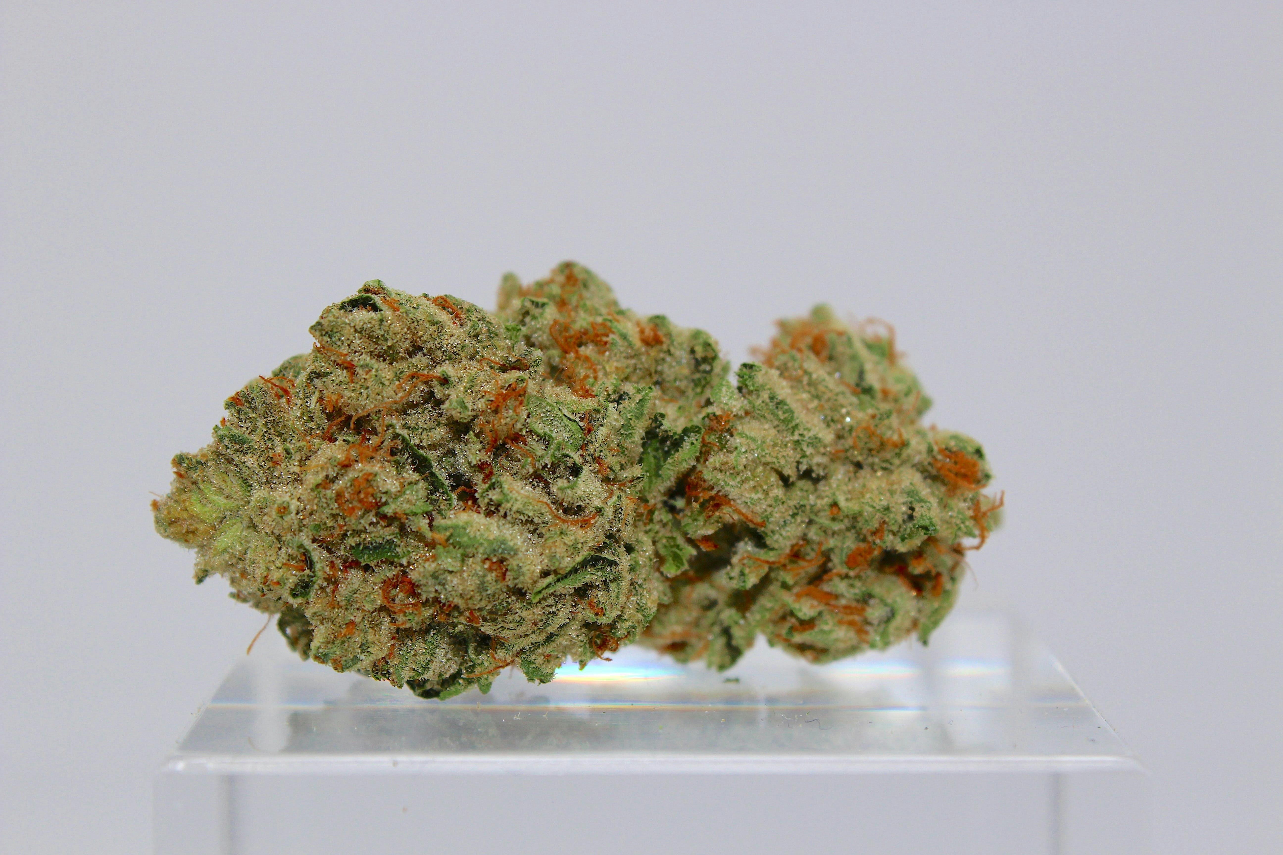 Milk & Cookies