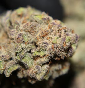 $79/oz Out the Door (HQ Indoor)