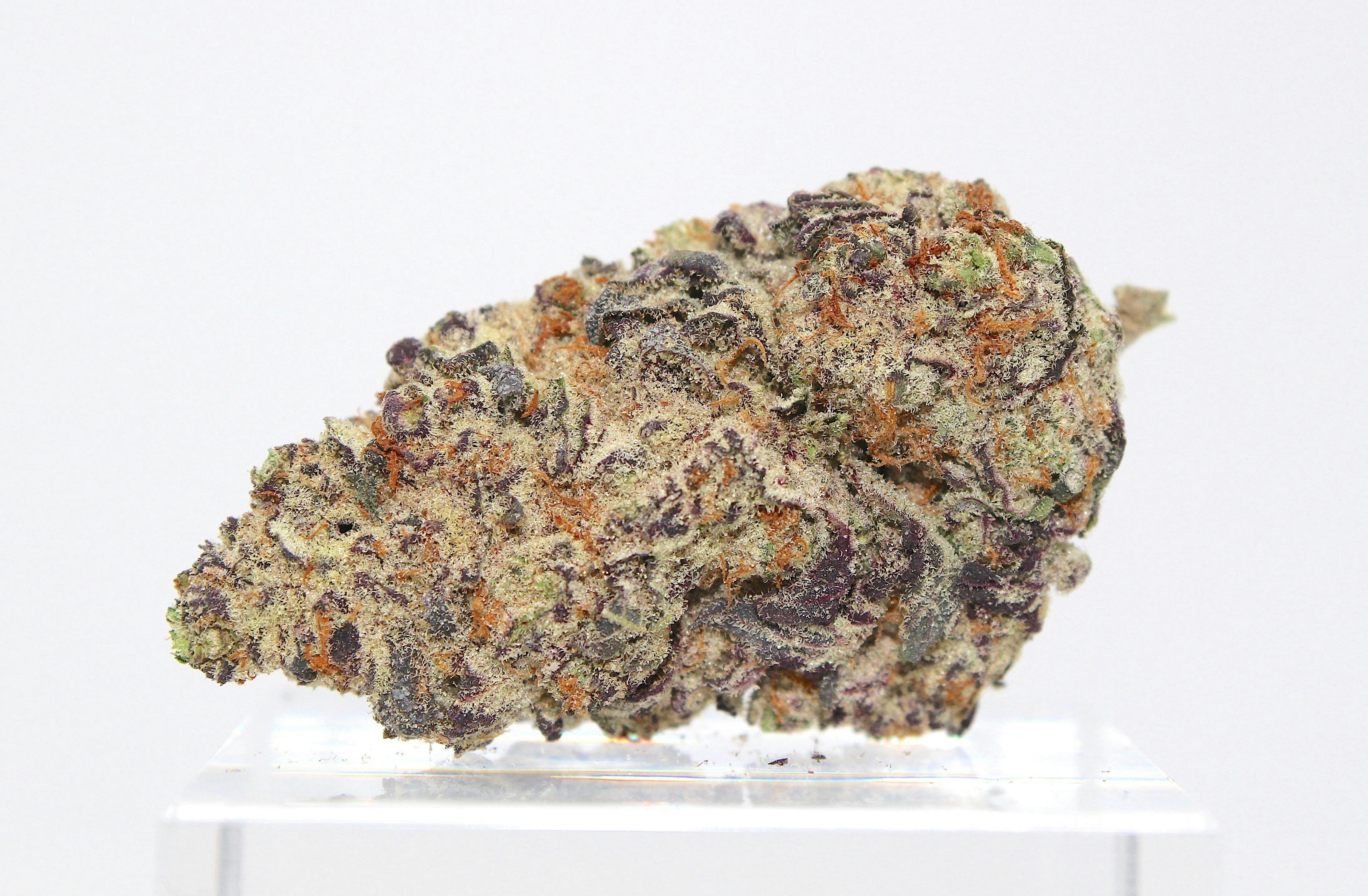 Grape Drink