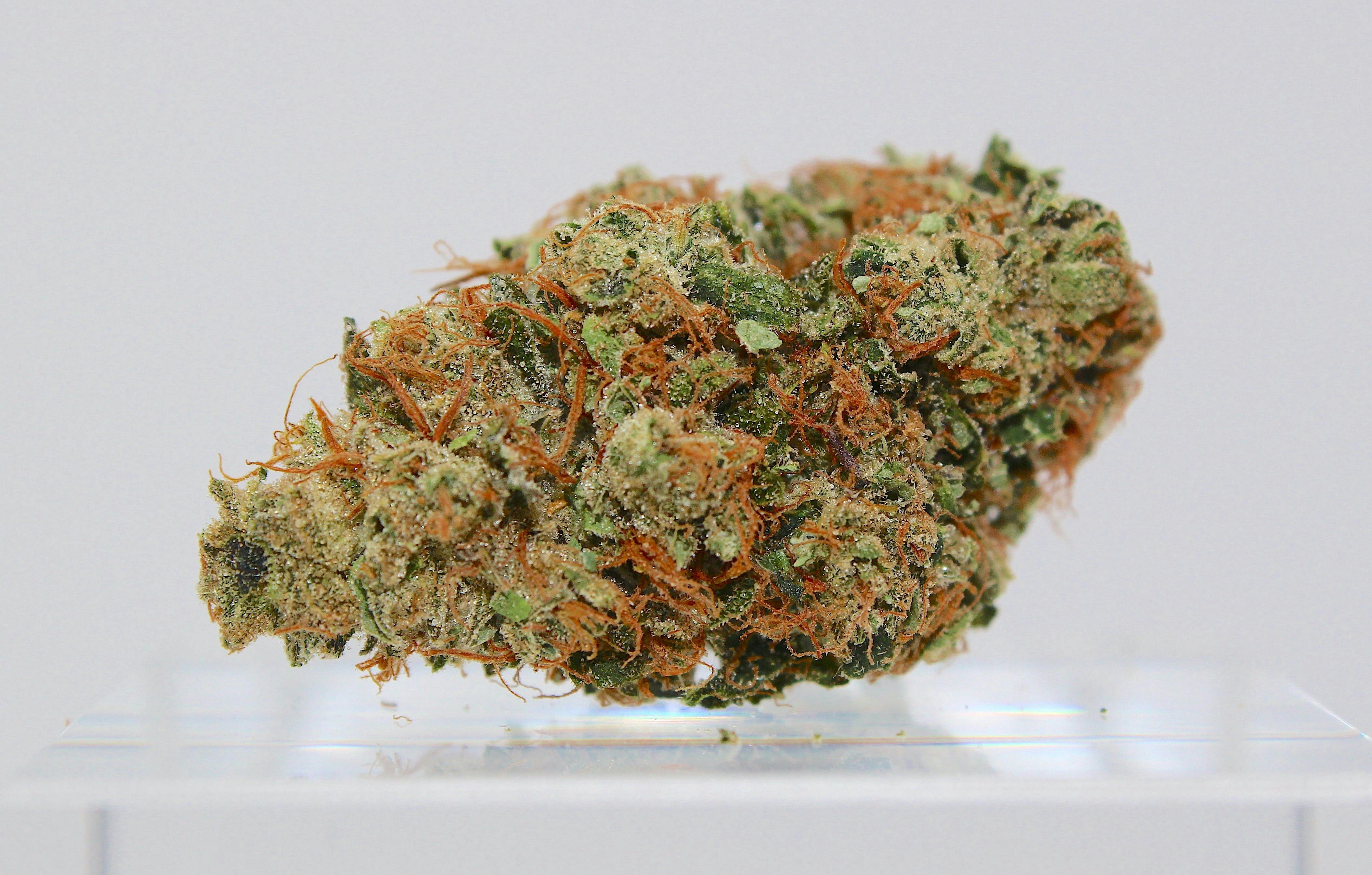 Jet Fuel
