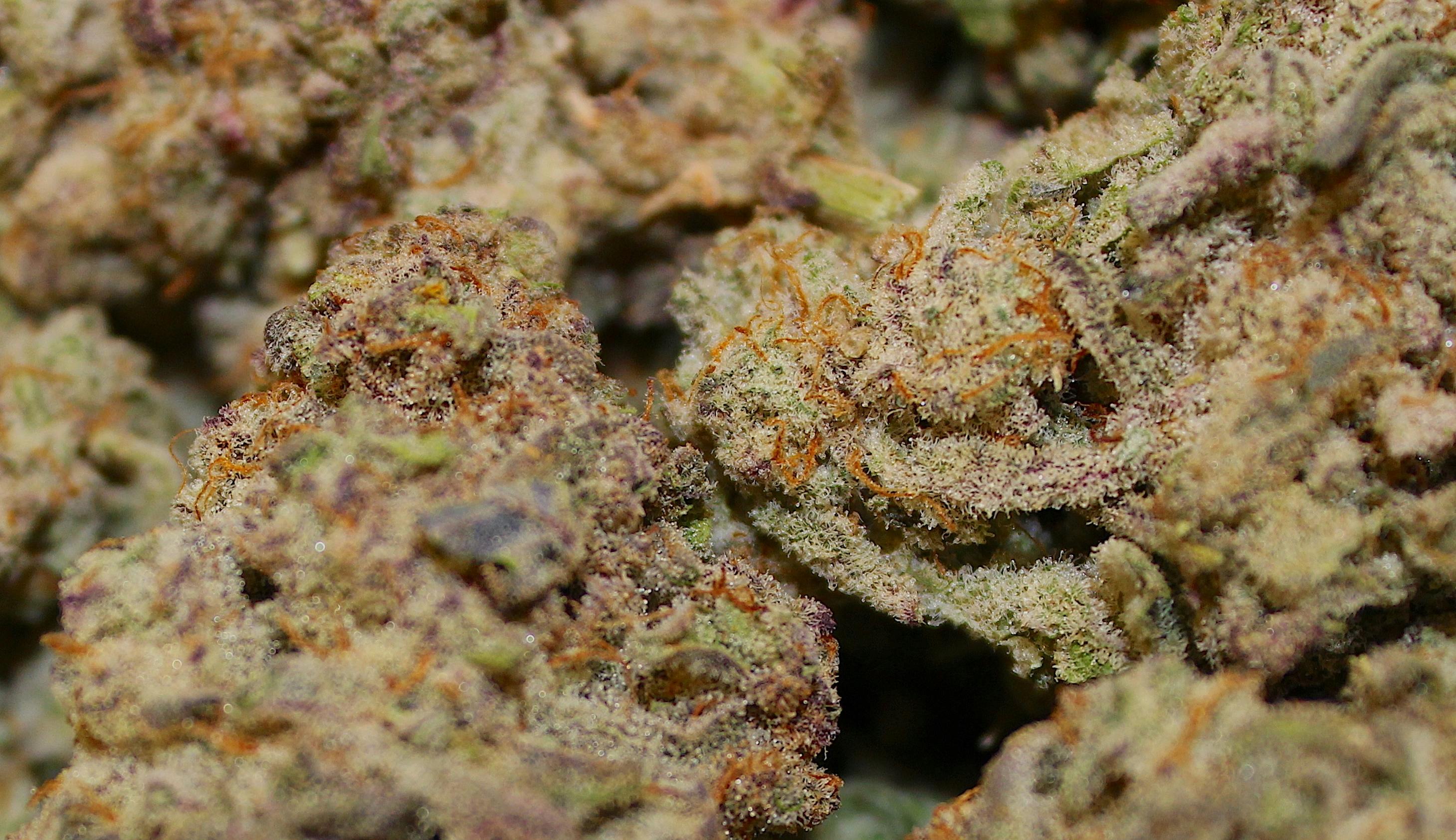 Blue Label /half Ounce Otd