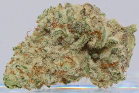 Miracle Alien Cookies (MAC)