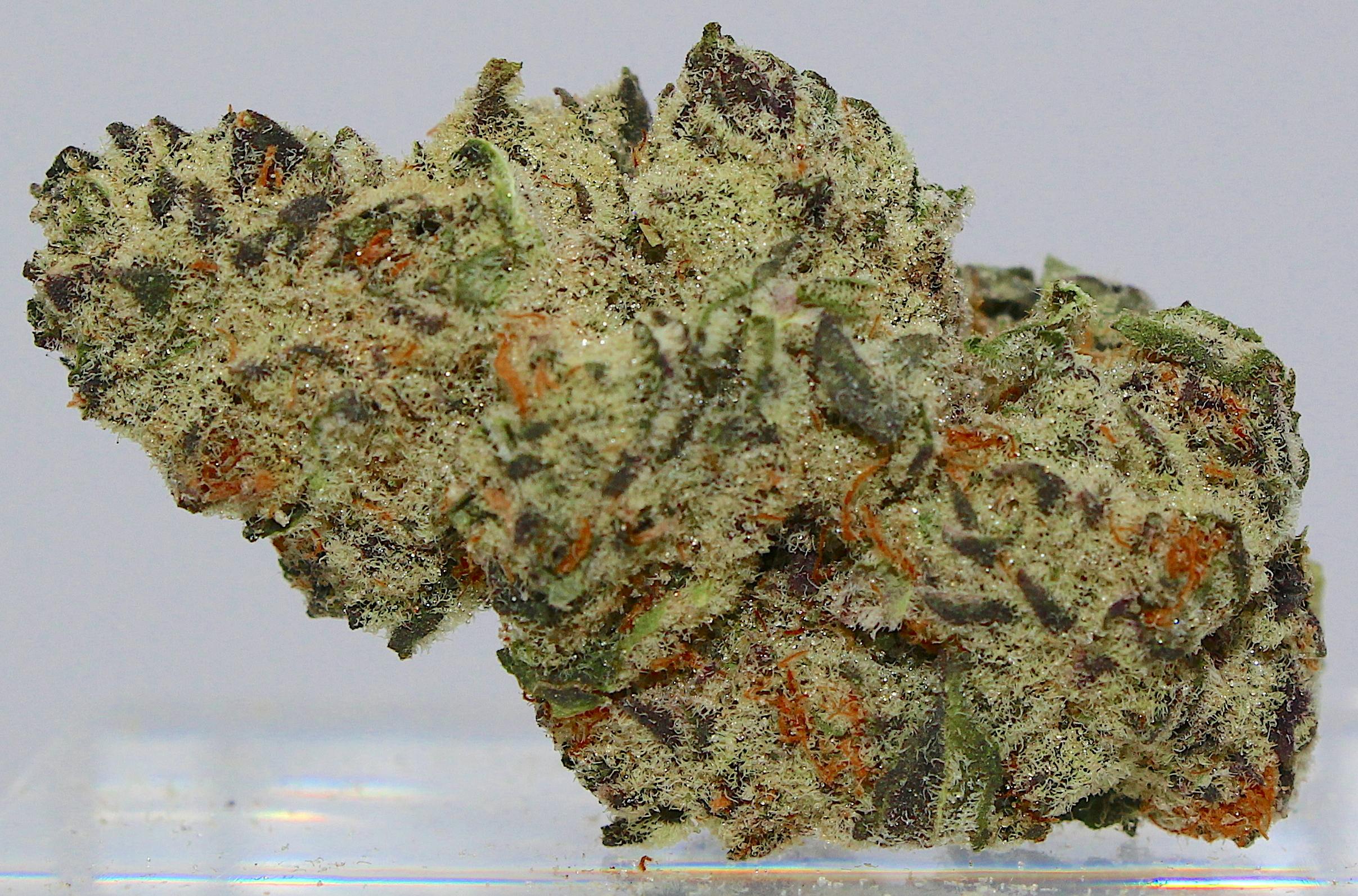 Grape Drink