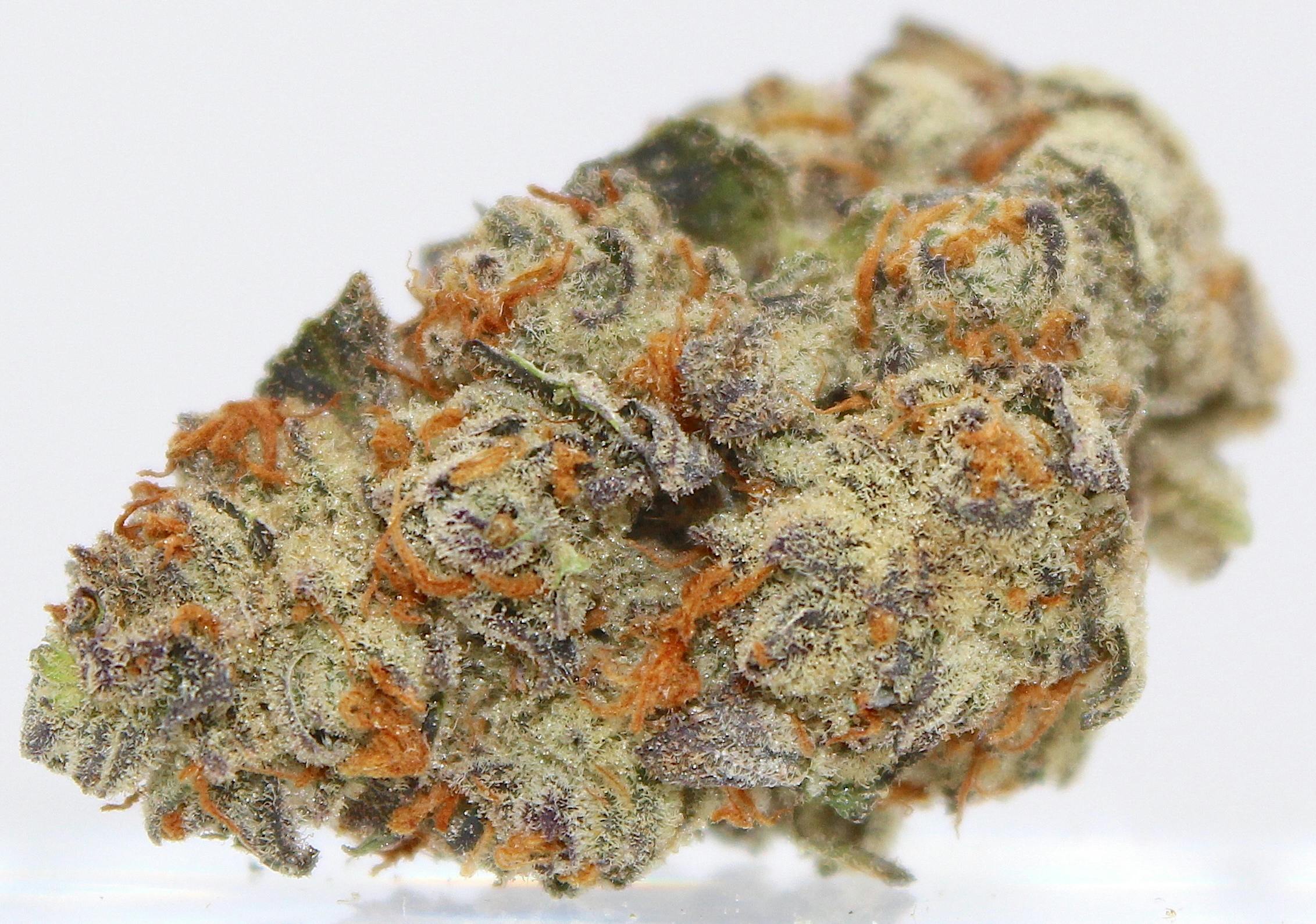 Indica Flower