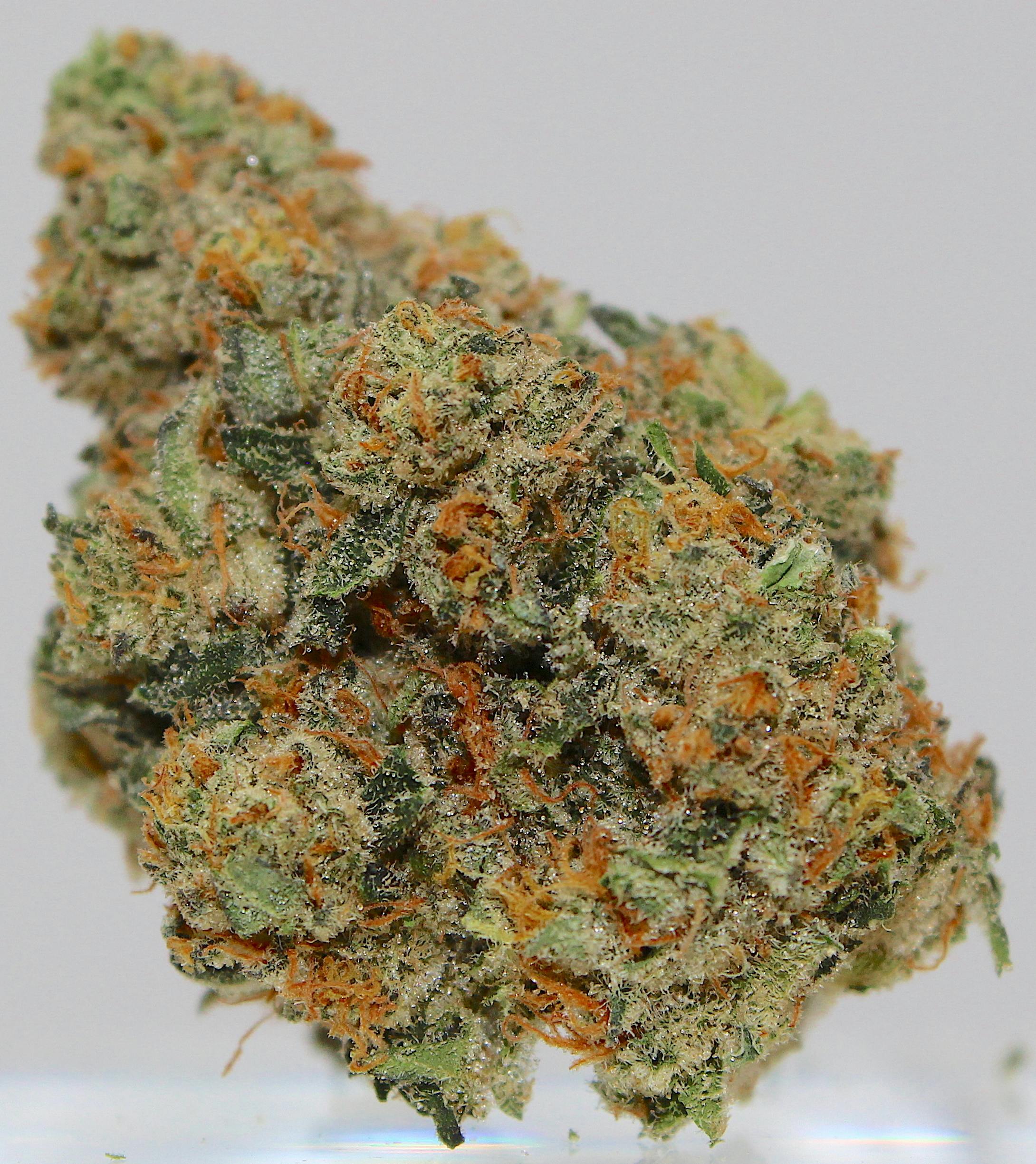Hybrid - Indica Flower