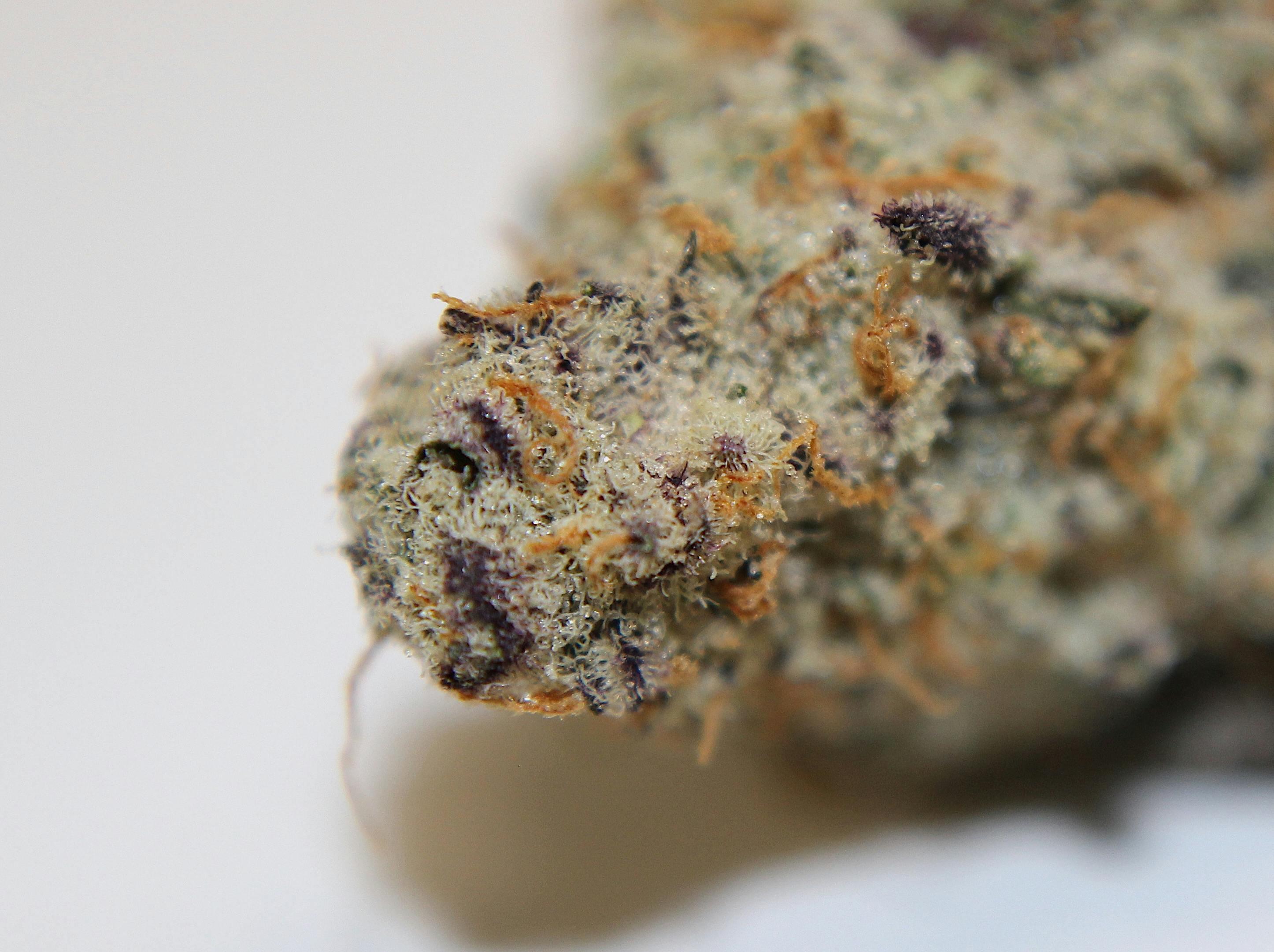$79/oz OTD Premium Indoor Flower
