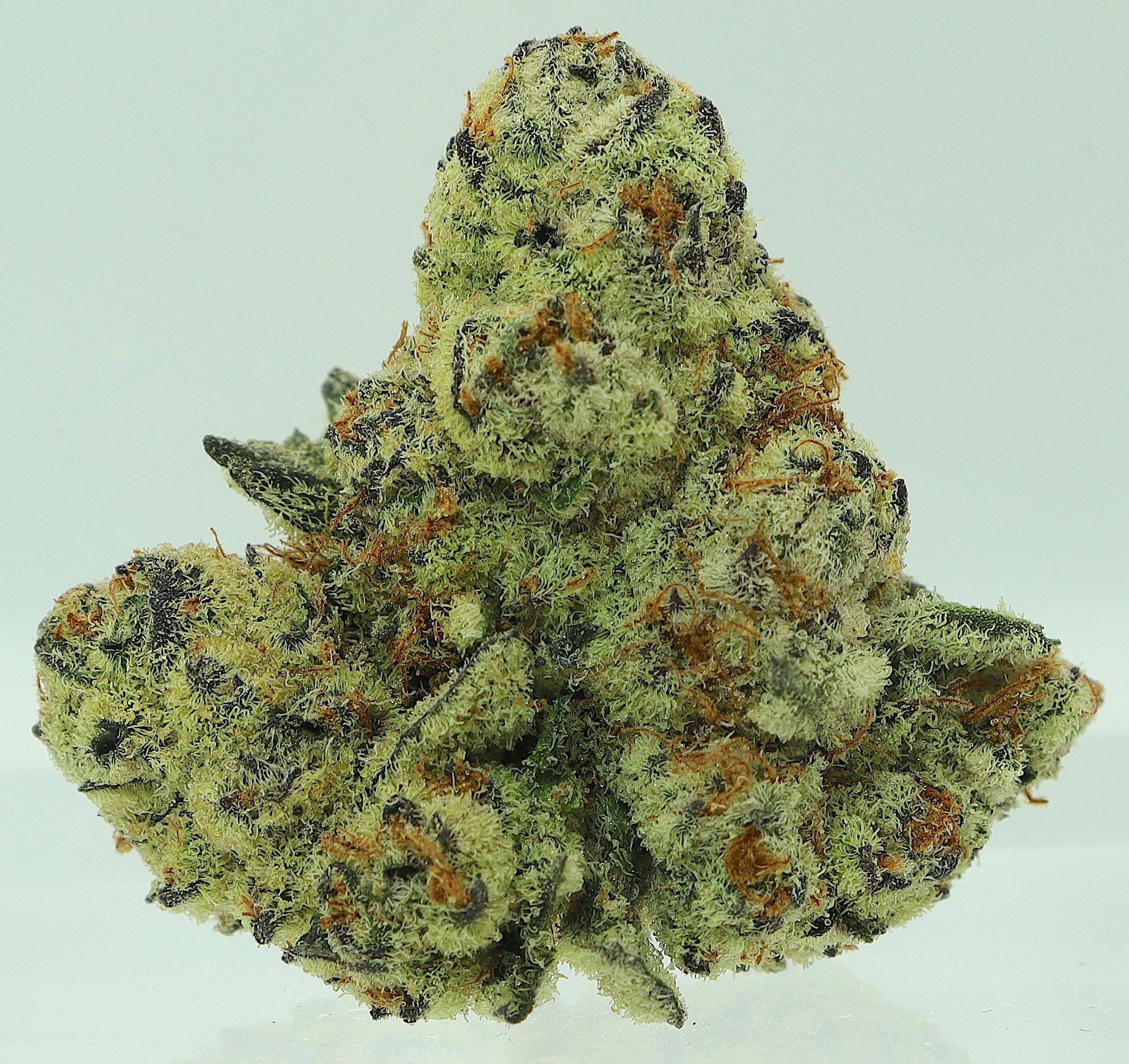 Mile High Glue