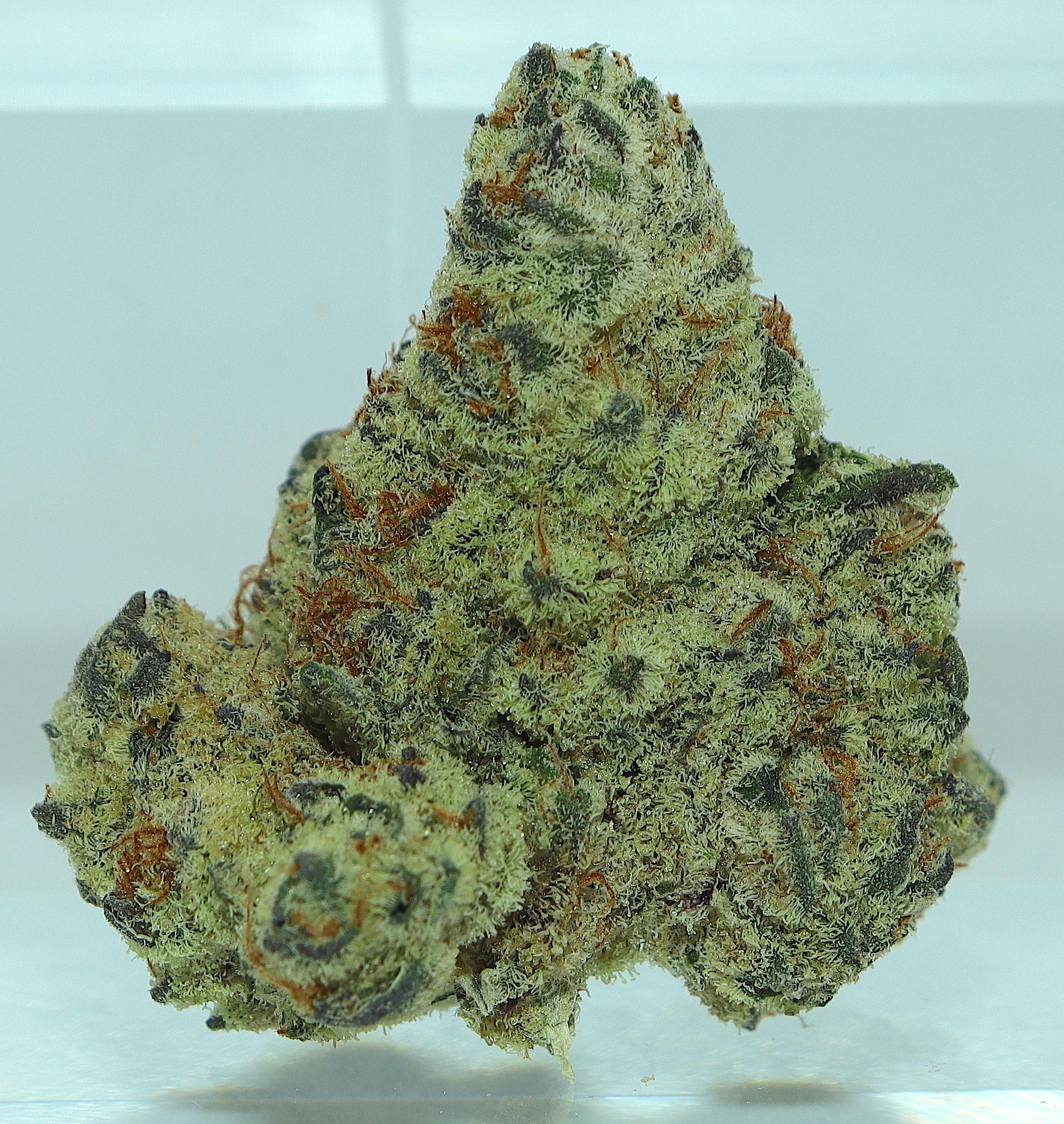 Mile High Glue