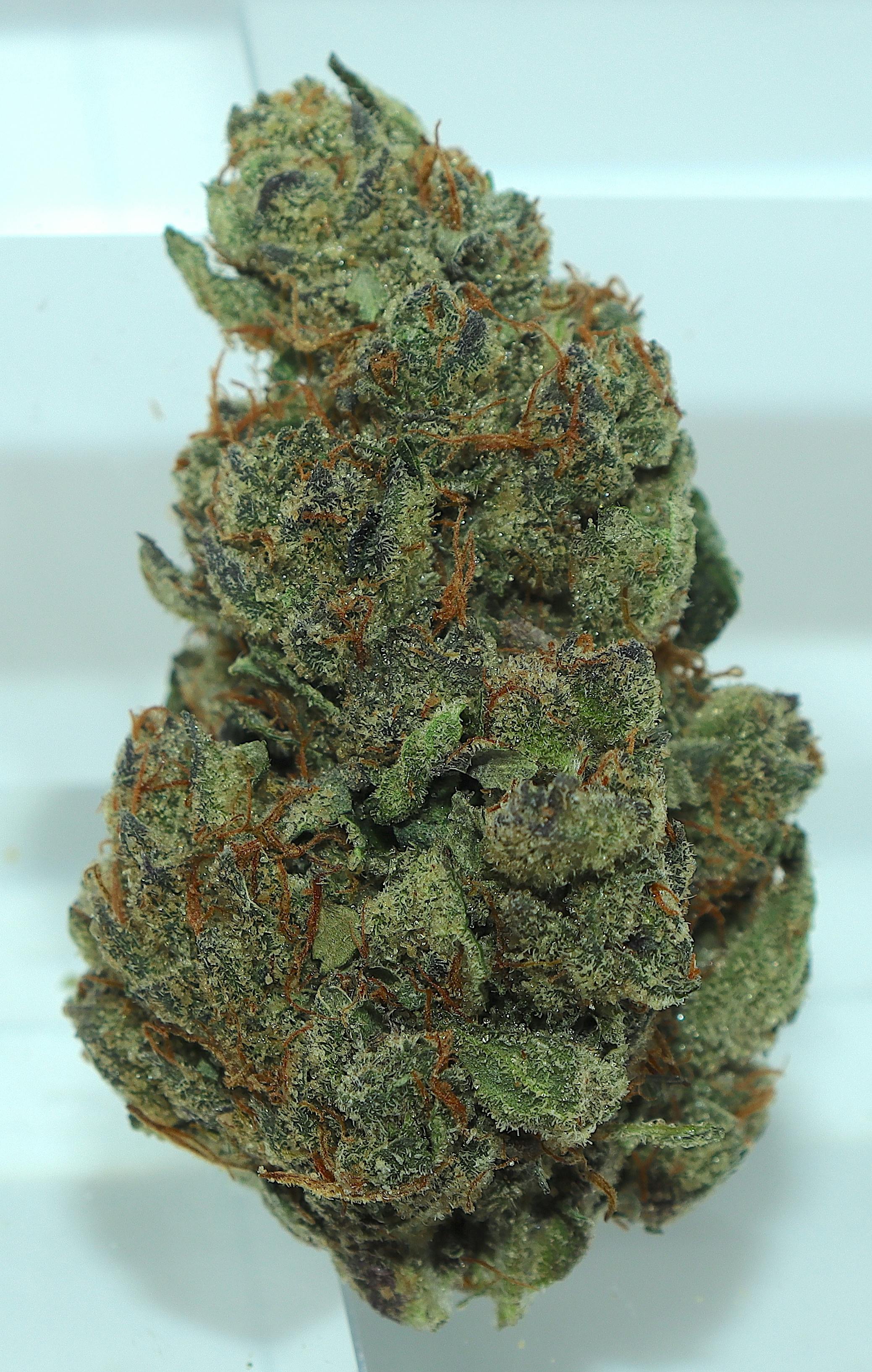 Dream Kandy
