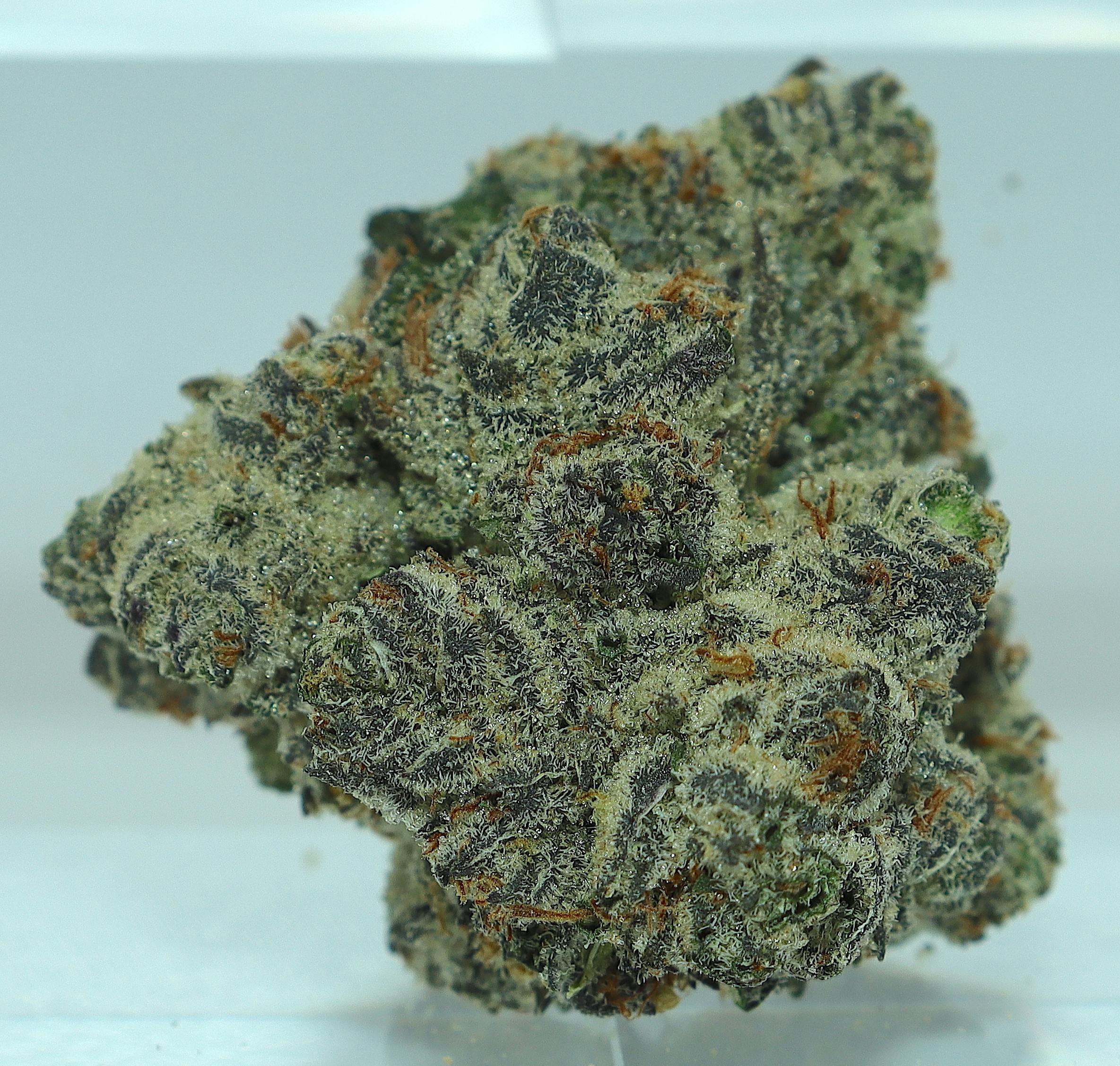Oozy Stix