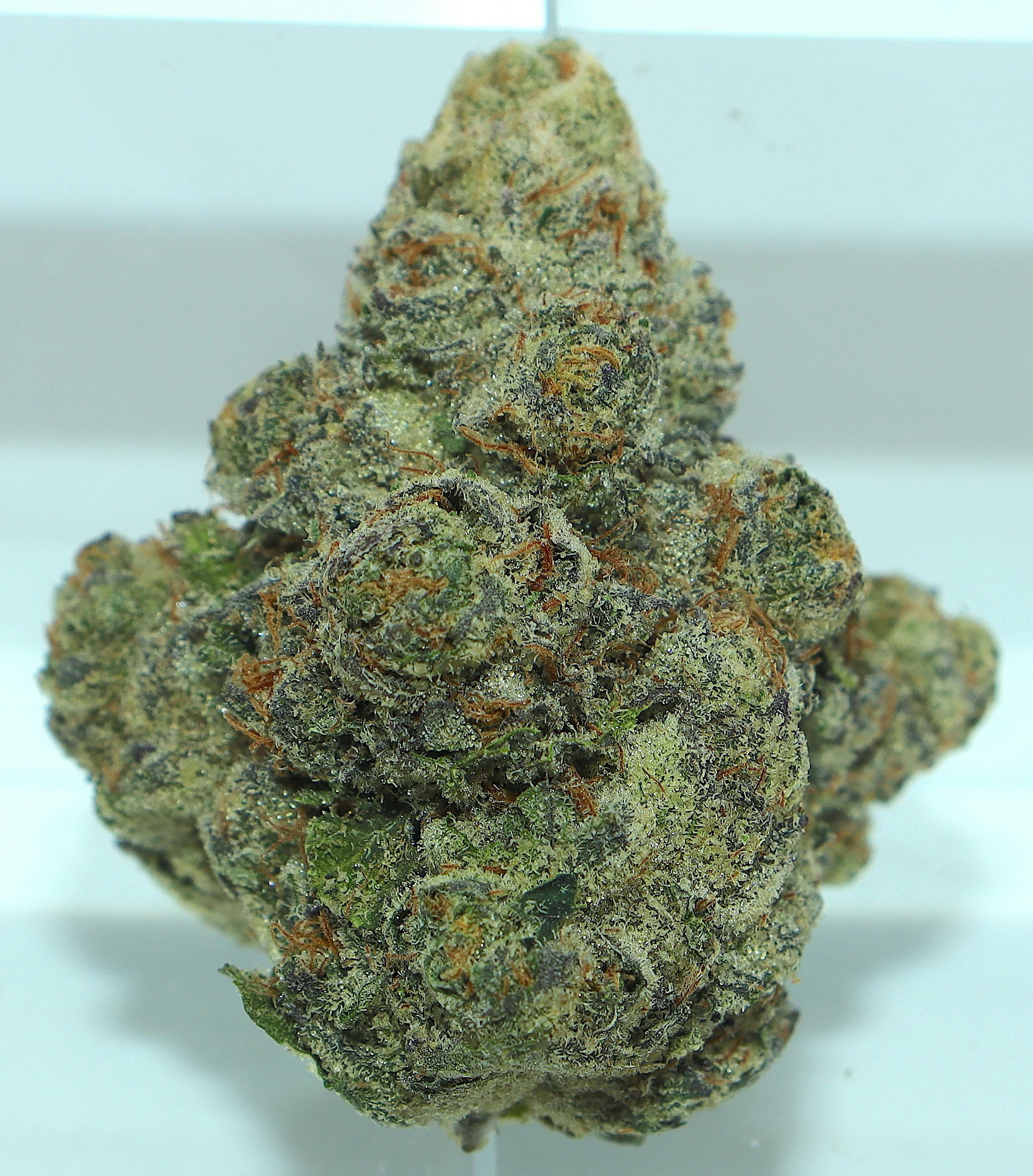 Potion