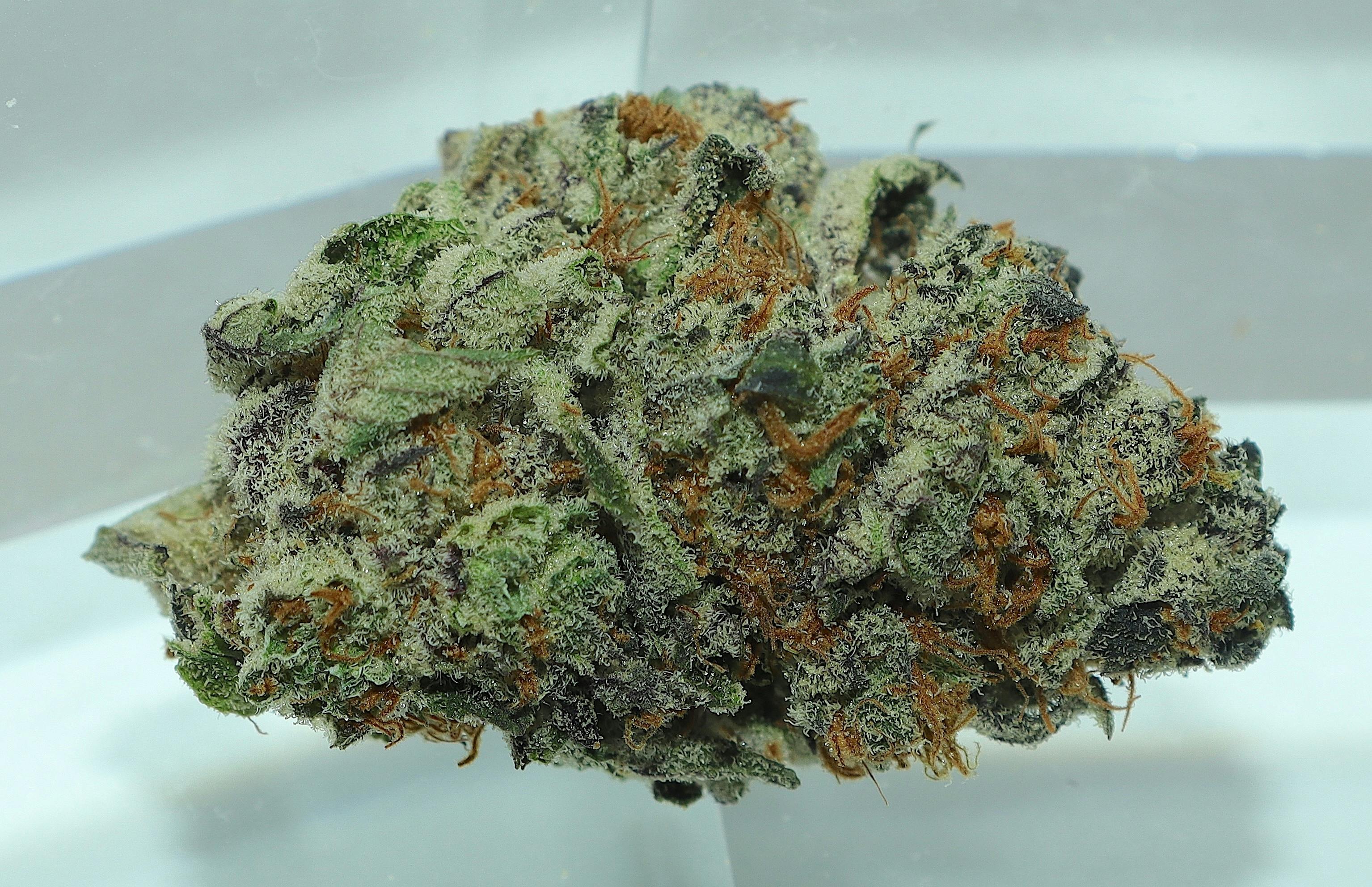 Pink Grapefruit
