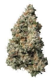 Trap House | Black Maple | Deli-Style Flower cannabis product