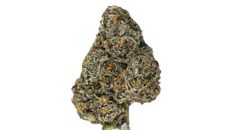 Guerilla Grown | Permanent Sherb | Deli-Style Flower at Stash House Cannabis Store- Traverse City