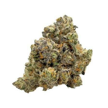 Guerilla Grown | Frog Poison | Deli-Style Flower