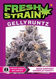 FRESH STRAIN - GELLY RUNTZ - FLOWER - 5G