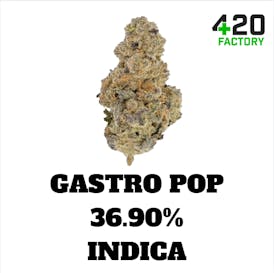 Bulk Flower | Exclusive Shelf | Gastro Pop - 36.90% THC