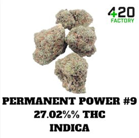 Bulk Flower | Exclusive Shelf | Permanent Power #9 - 27% THC