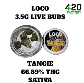 LOCO | 3.5G Live Buds | Tangie - 66.89% THC