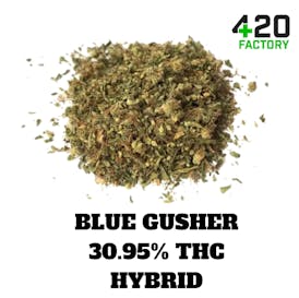 Shake OZ | Blue Gusher - 30.95% THC