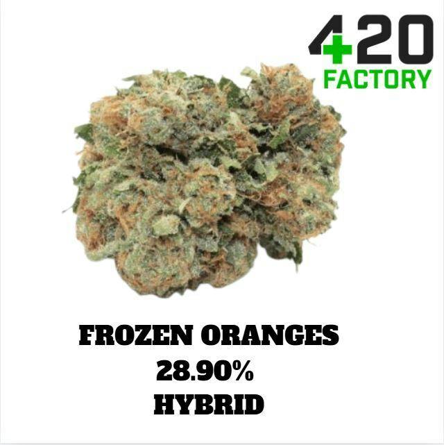 Frozen Oranges | Big Buds | 0.125oz