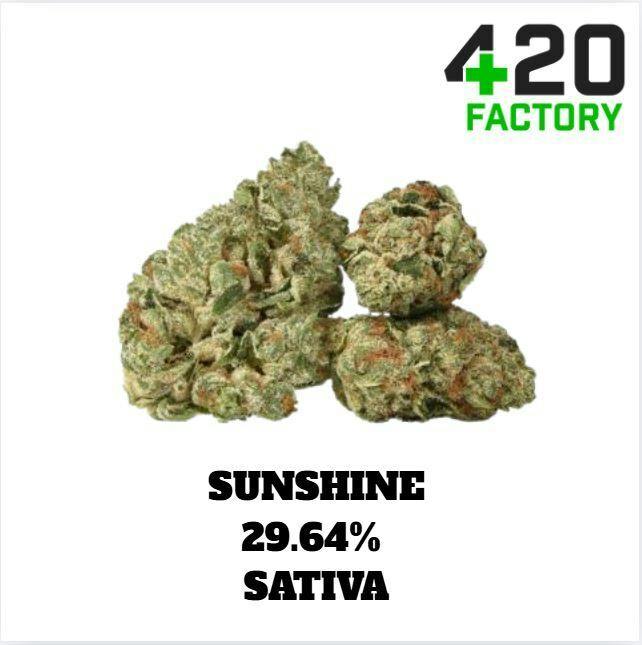 Bulk Flower | Red Shelf | Sunshine - 29.64% THC