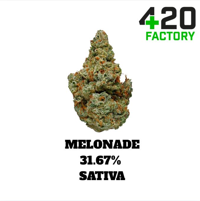 Bulk Flower | Exclusive Shelf | Melonade - 31.67% THC