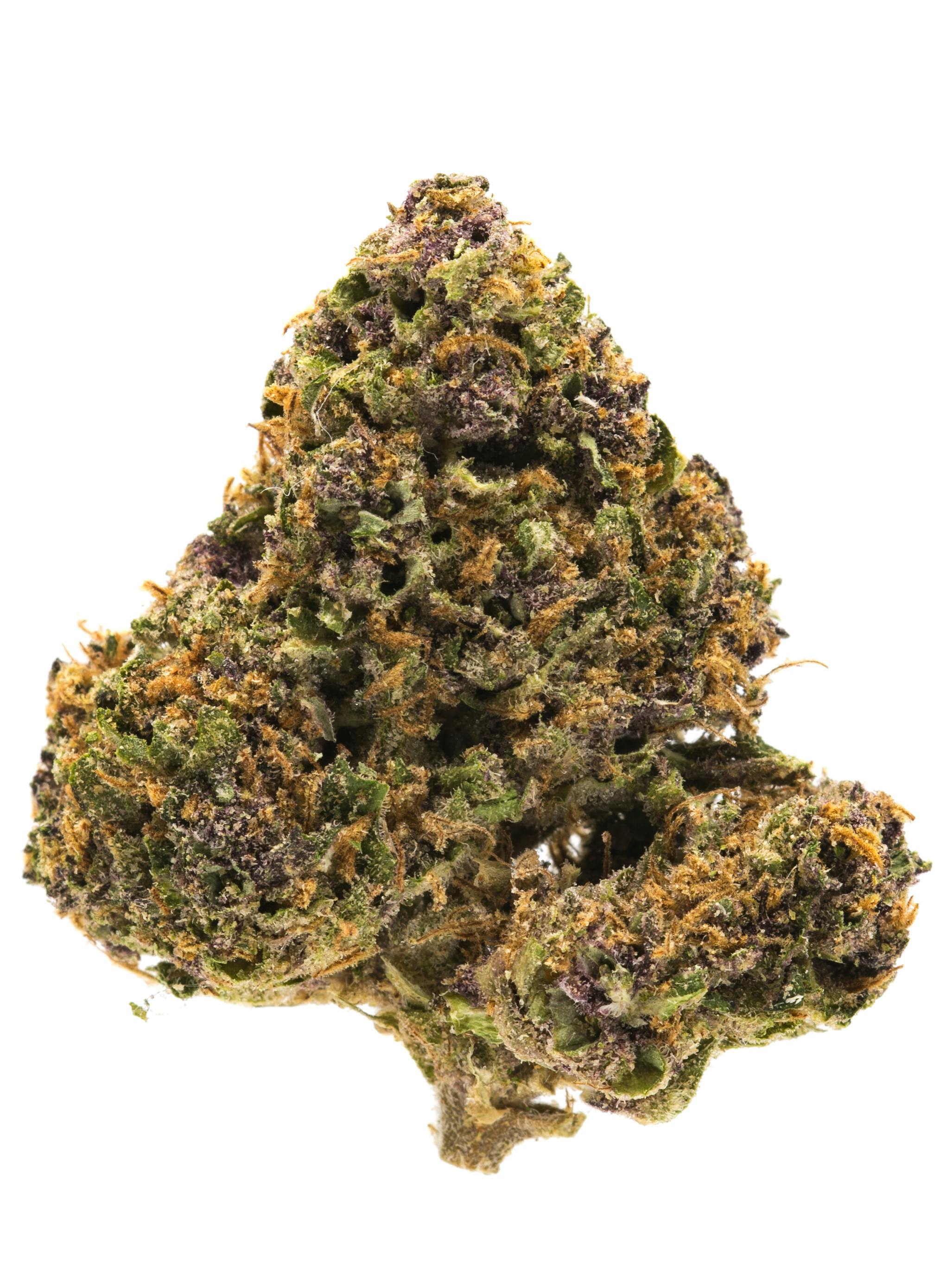 Bulk Flower | Yellow Shelf | Gaschata - 27.40% THC