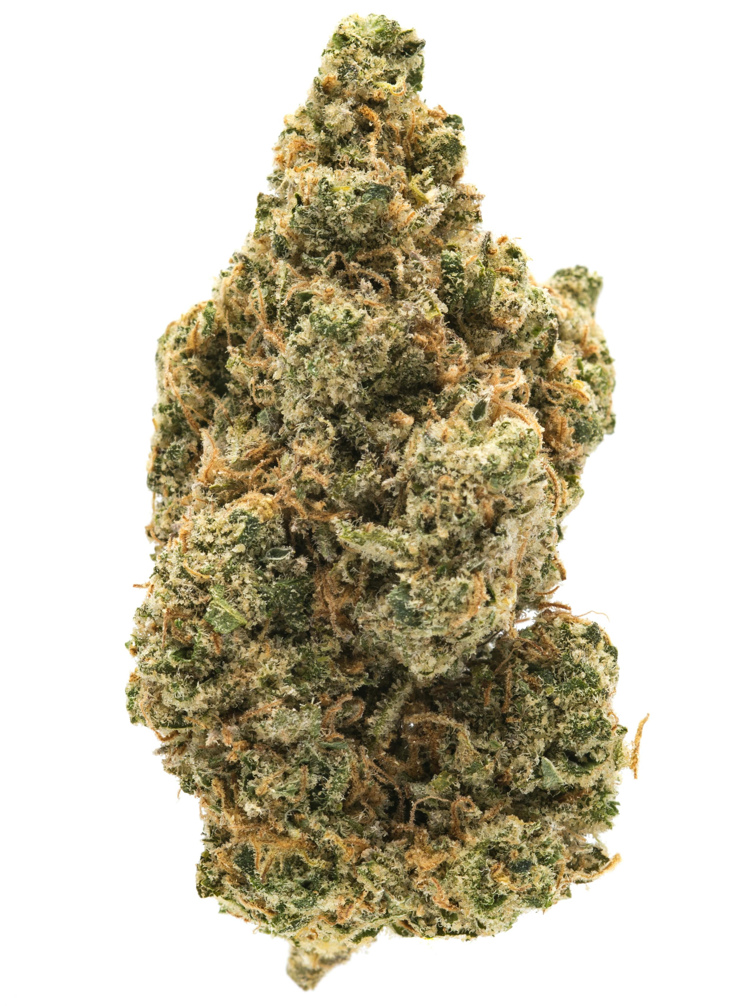 Bulk Flower | Yellow Shelf | Cherry Runtz - 27.30% THC