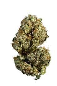 Farm Science | Blueberry Cupcake