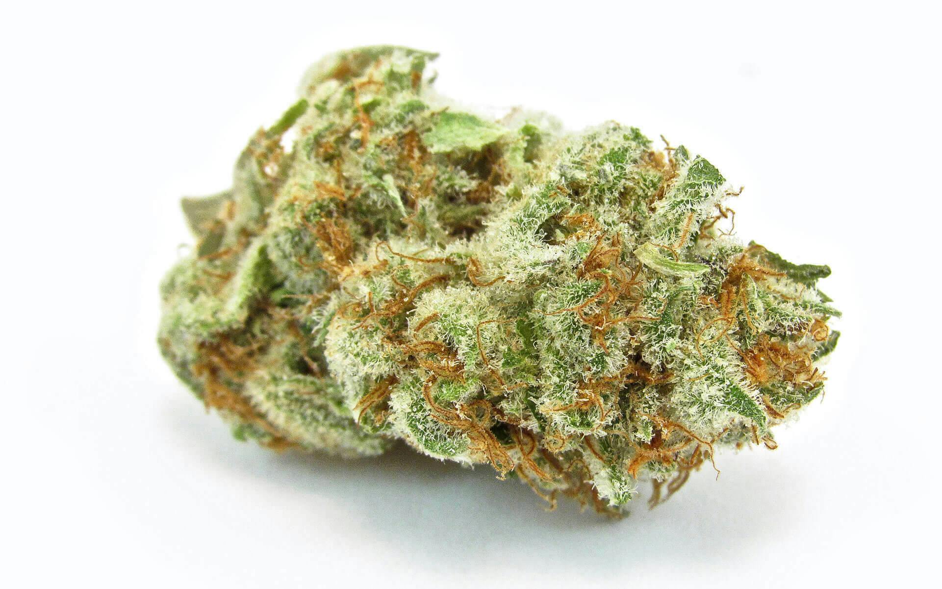 Deadhead Og