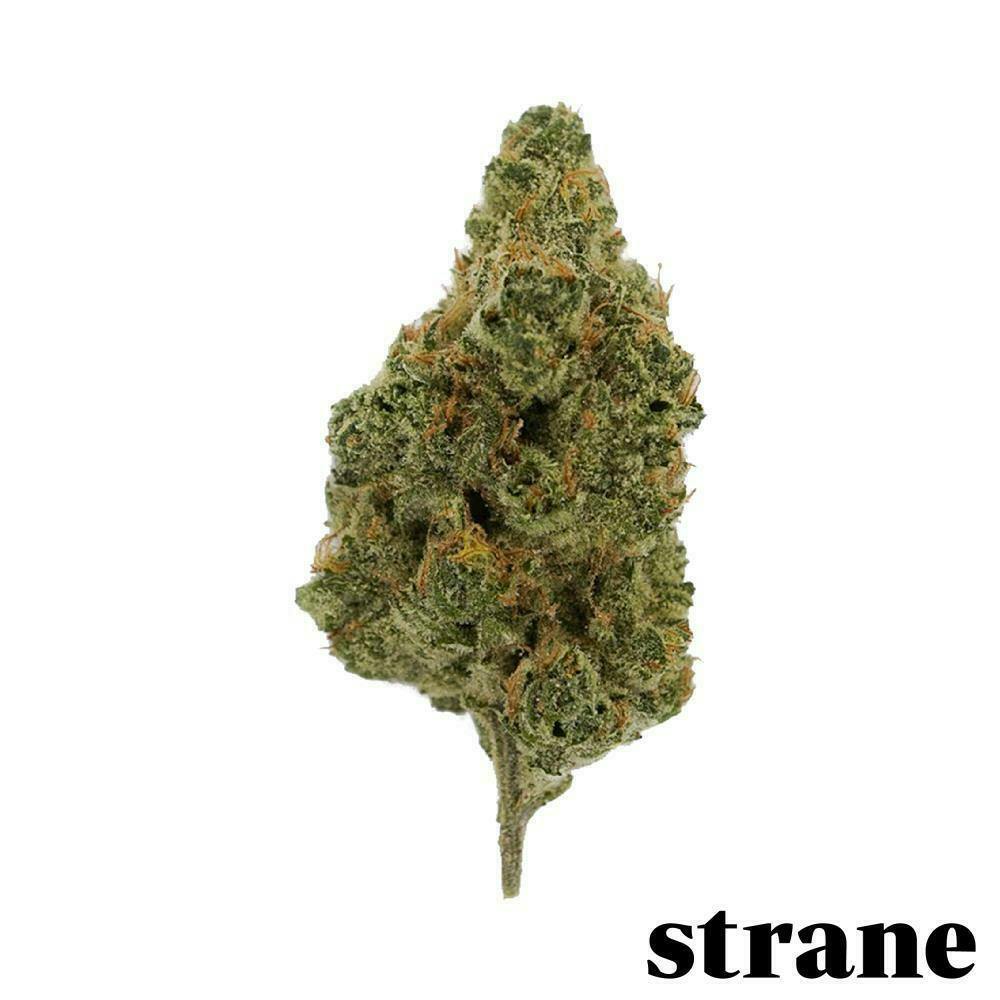 Chaos Kush #3