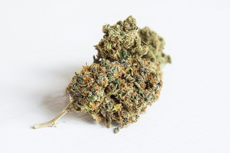 Gelato #33