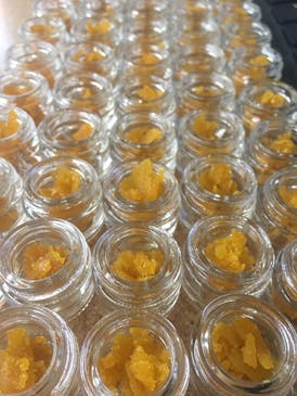 GOB Extracts - Sugar Hellbilly