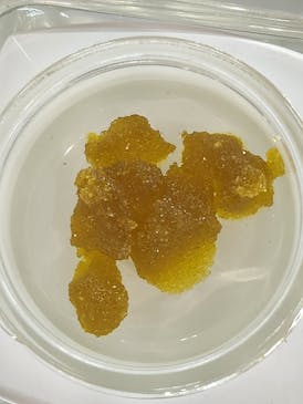 GOB Extracts - Gorilla Dreams Live Sugar