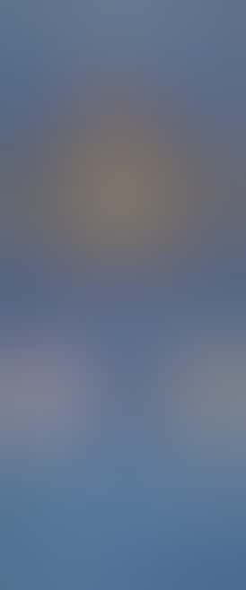 Slow Burn Farms REC King Palm Infused 1.5g (I) each