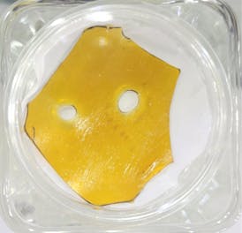 GOB Shatter Hellbilly