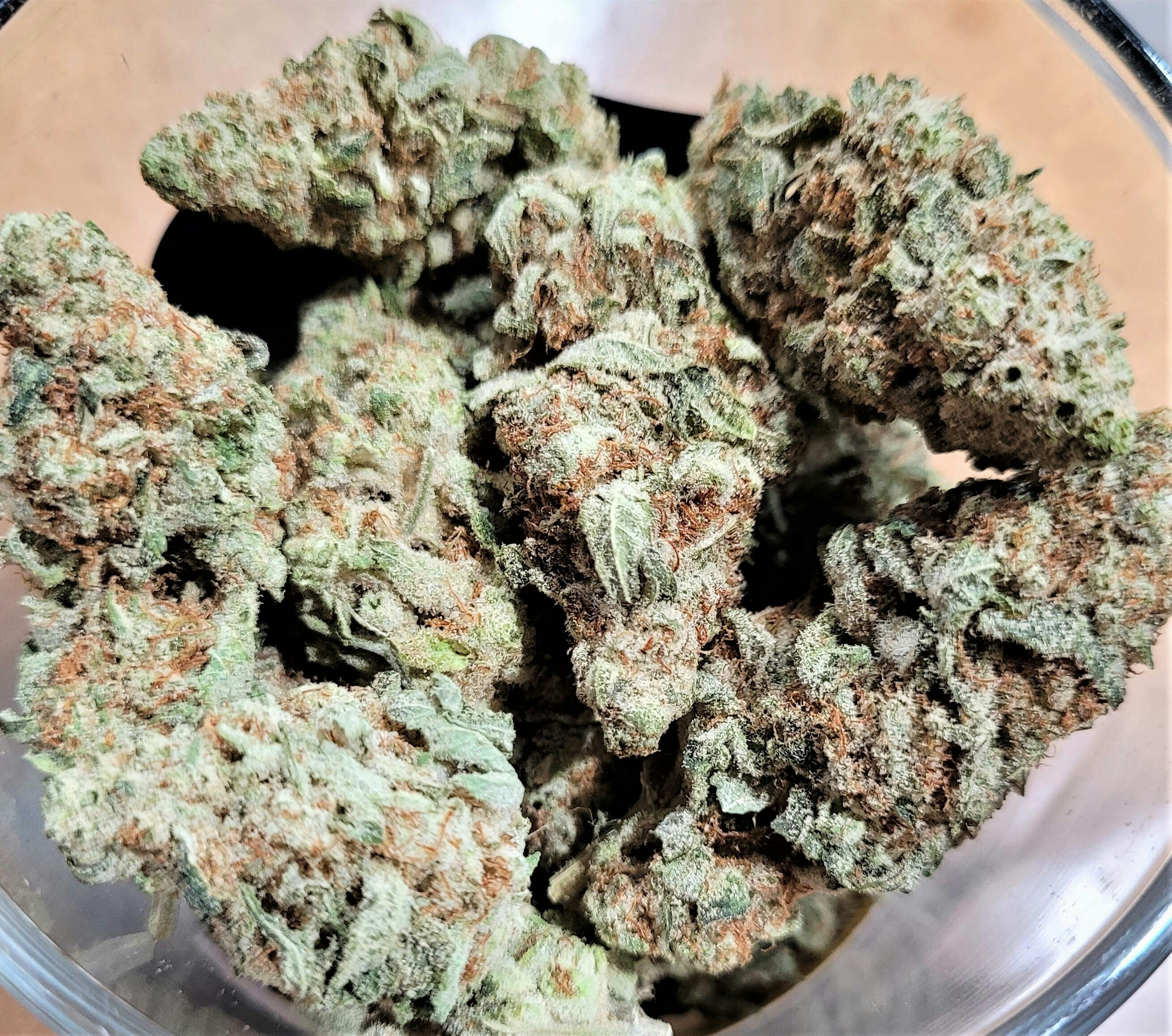 Ocean Fruit | Big Buds | 3.5g