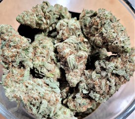 Bud Ocean Fruit