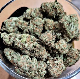Bud Gorilla Glue