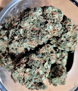 GOB Bud Blue Dream