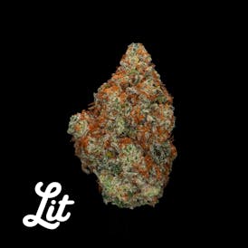 BUD REC - GLUE BALL