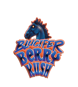 Packs - Live Resin - Blucifer Berry Kush 2g (I) REC