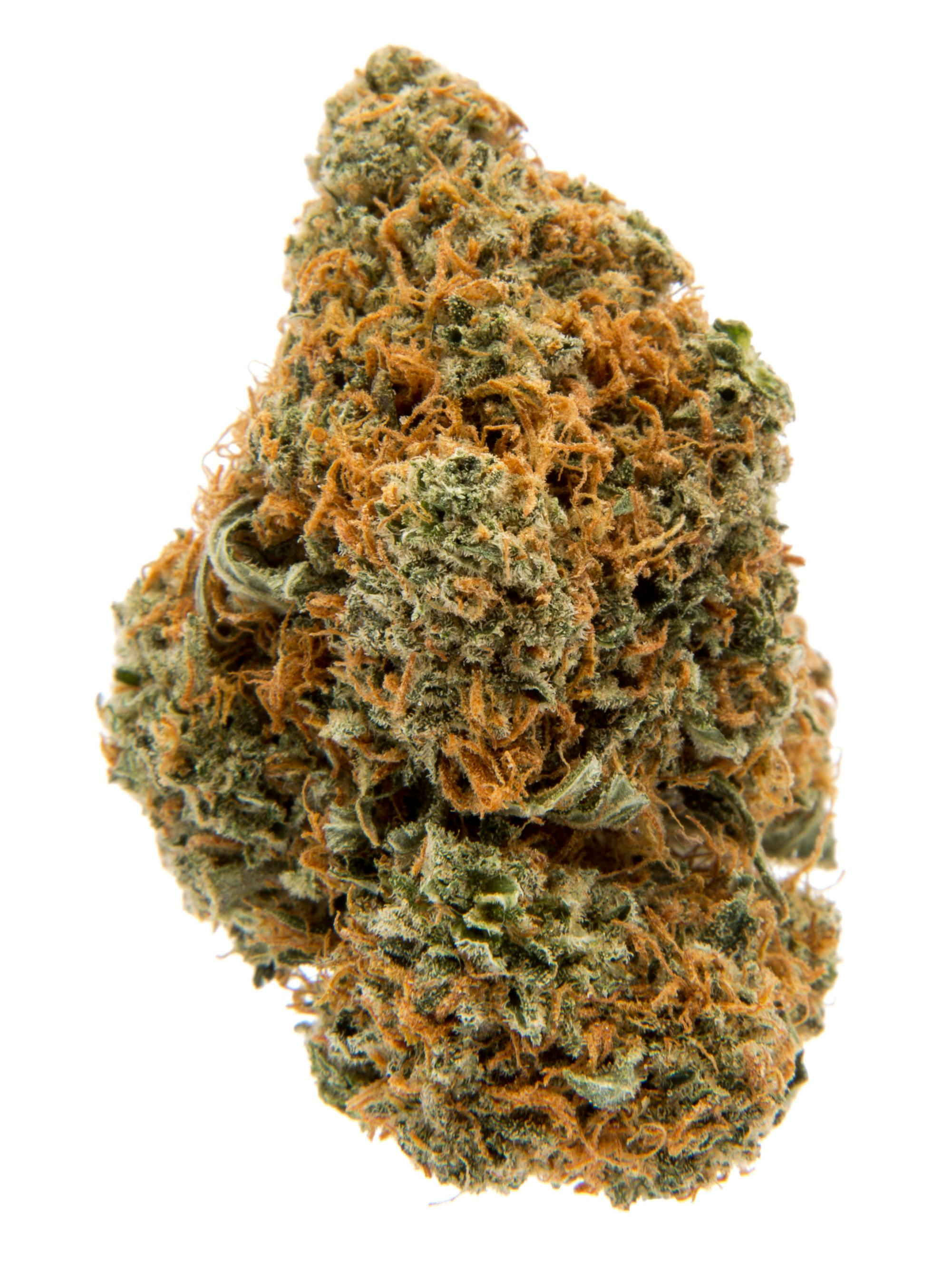 BUD REC - Hot Rod