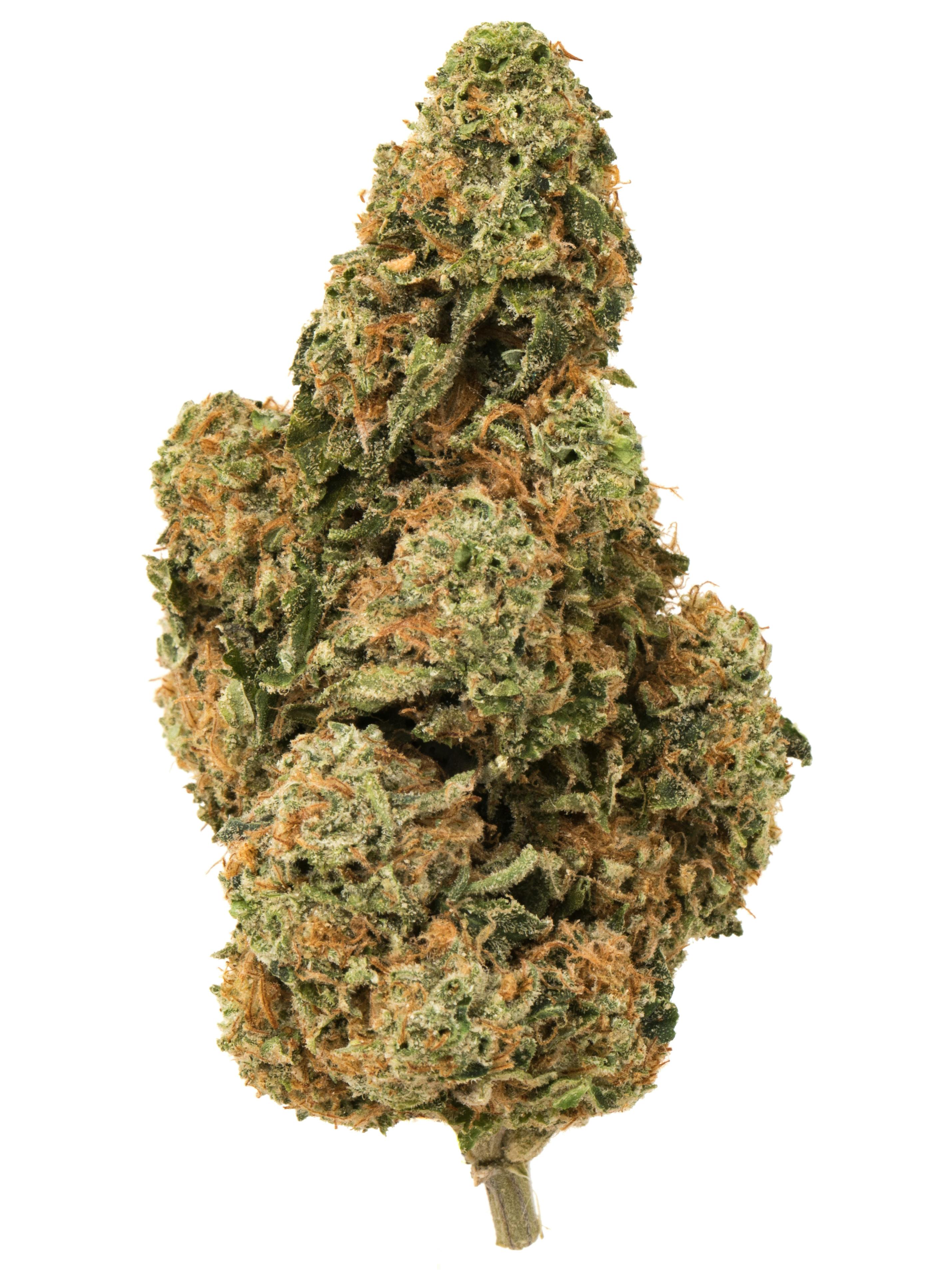 BUD REC - Guava Fruit