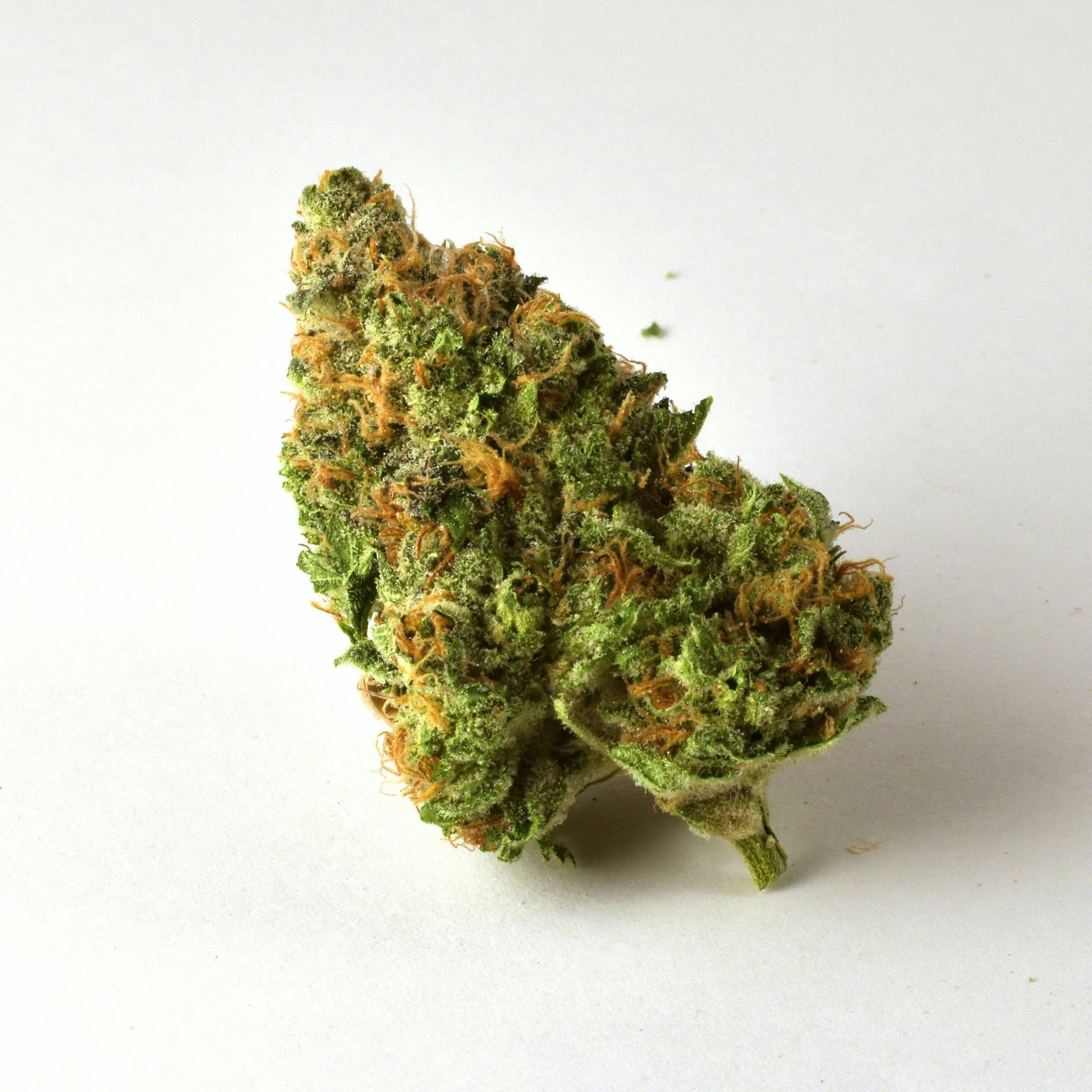OG Kush