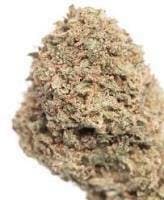 CBN: Trainwreck