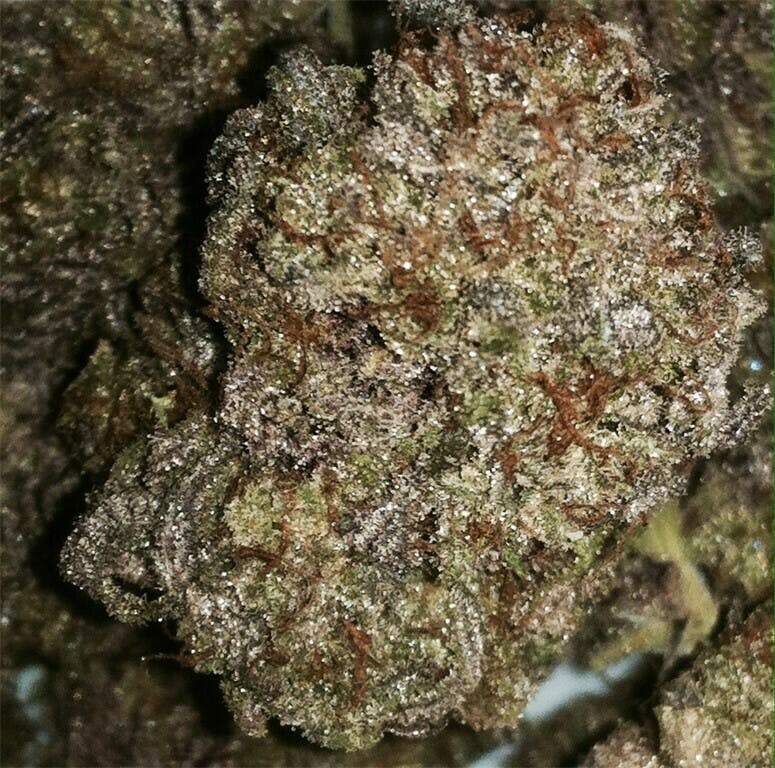 CBN: Mt. Hood Magic