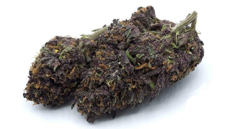 CBN: Kimbo Kush